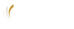 OwlPoint Dark Logo