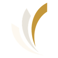 OwlPoint icon dark-1